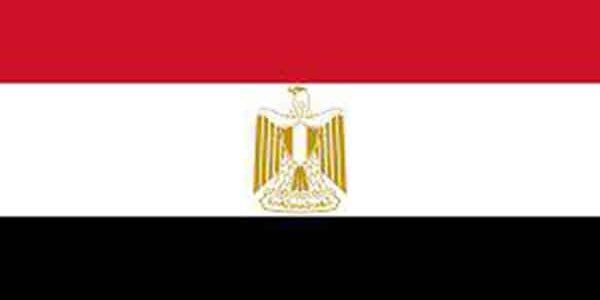 بعد توجيه الإساءة المباشرة للمملكة السعودية ودول أخرى .. هيئة مصر تصدر هذا القرار الصارم..!!