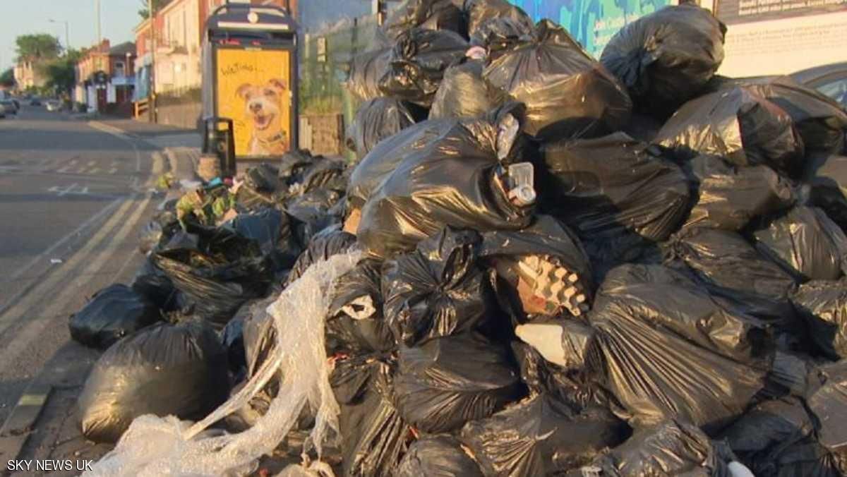 شوارع برمنغهام تتحول إلى “فنادق للفئران”
