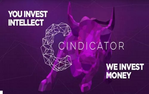 Cindicator : استثمر تفكيرك في منصة الفكر الجماعي وأربح جائزة شهرياً