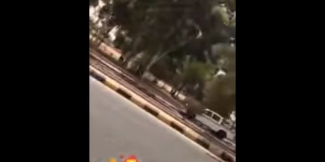شاهد.. شخص يصطاد الطيور بجهاز صوتي في عرعر والحياة الفطرية تحذر