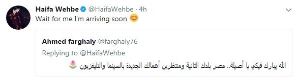 هكذا ردت هيفاء وهبي على منعها من العمل بمصر