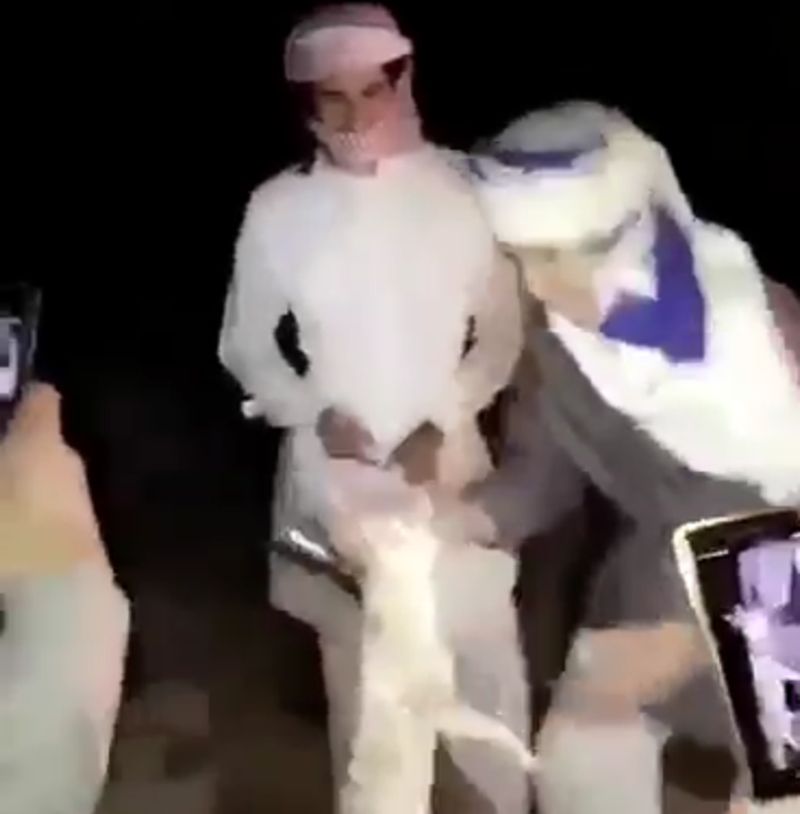 بالفيديو.. تعذيب ثعلب والقفز عليه حتى الموت.. إعادة لذكرى إحراق ثعلب بعسير
