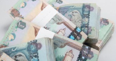 محافظ مركزى الإمارات: الاستفسار عن حسابات أفراد سعوديين كان لجمع معلومات