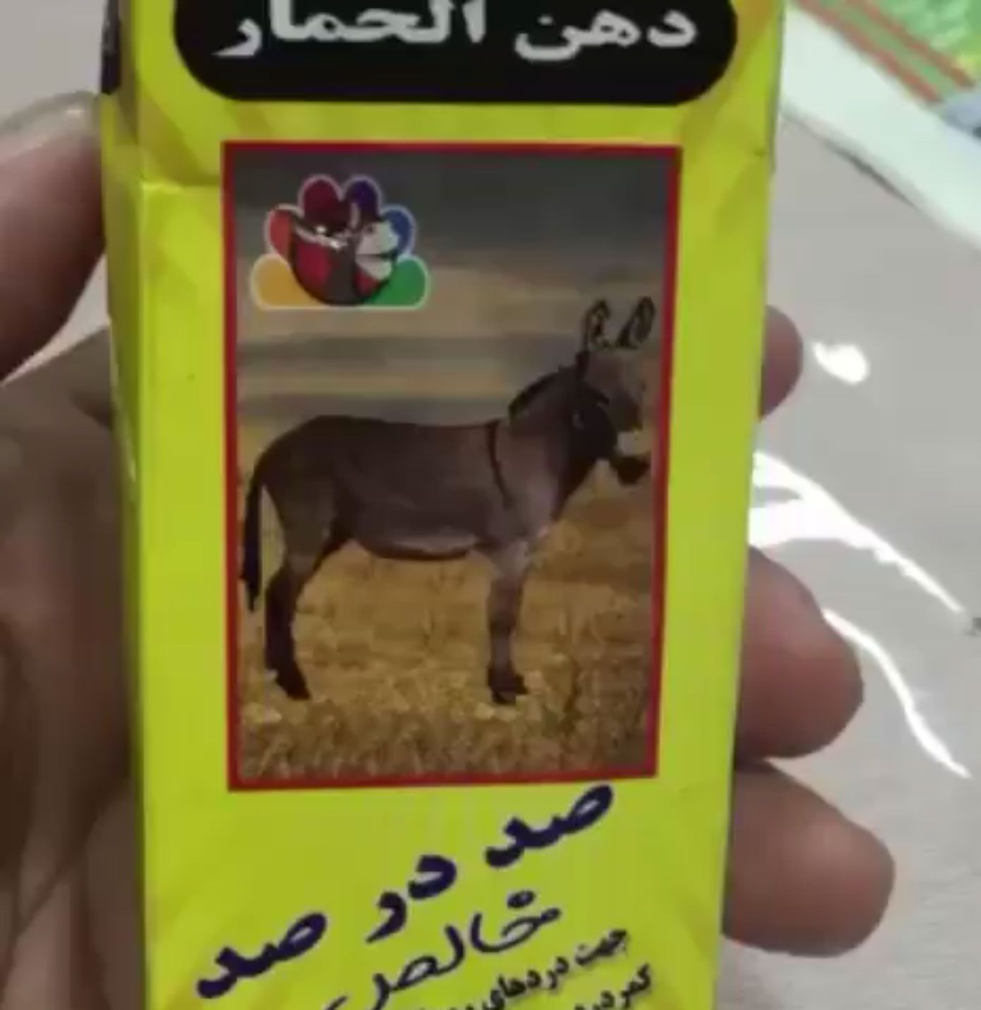 اعرف كل حاجة.. أهم 10 أخبار على مدار اليوم السبت