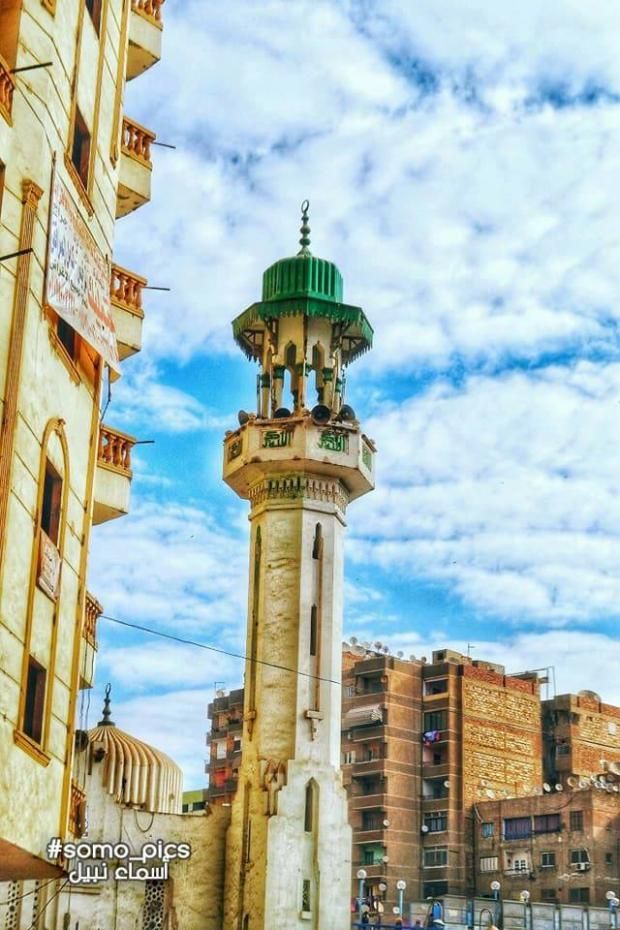 بالصور| عزبة النخل في عيون "مصورة ": "قطع لسان اللي يقول منطقة شعبية"