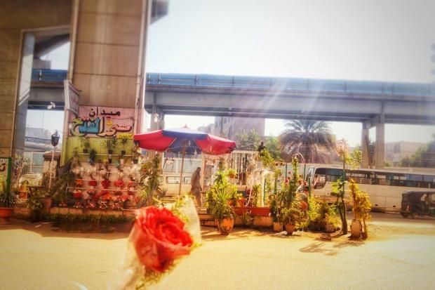 بالصور| عزبة النخل في عيون "مصورة ": "قطع لسان اللي يقول منطقة شعبية"