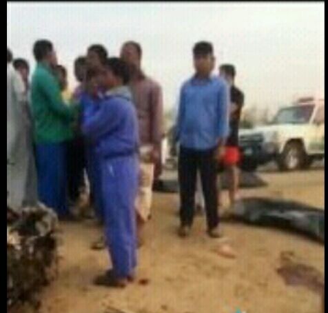 بالصور.. تصادم كامري وبيكب يقتل ويصيب 20 في جازان