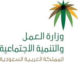 وزارة العمل توضح آلية احتساب المقابل المالي في الفاتورة المجمعة