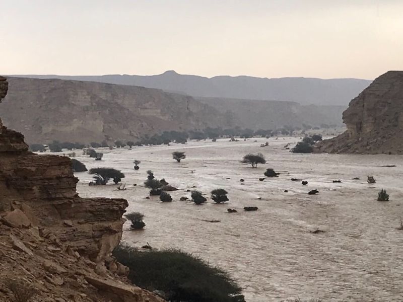 لأول مرة منذ سنوات.. جريان وادي مطعم بسبب مطر الرياض