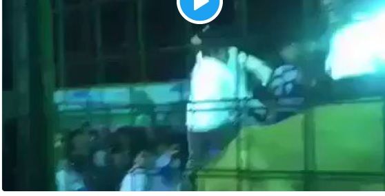 #عاجل بالفيديو .. أسد يهاجم طفلة في ربيع جدة .. وتوجيه بالتحقيق
