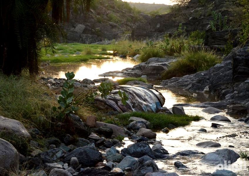 خبير طقس: حالات جوية ماطرة تبدأ الخميس