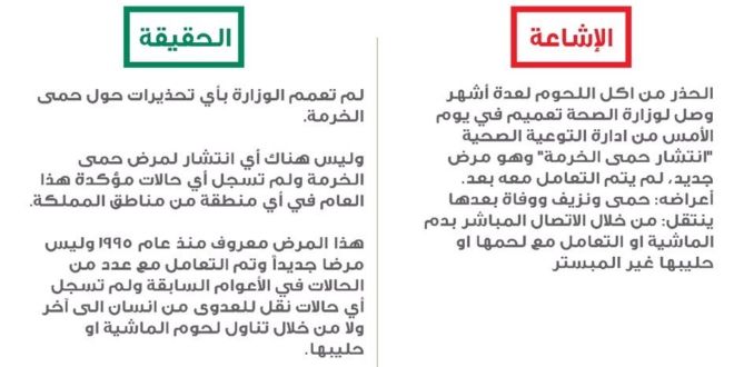الصحة تكشف حقيقة تحذيرها من حمى الخرمة.. مرض جديد قاتل!