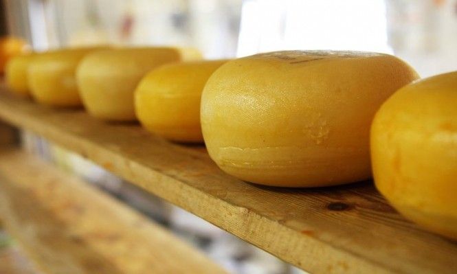 دراسة: تناول منتجات الألبان يفيد الرجال فوق سن الـ50
