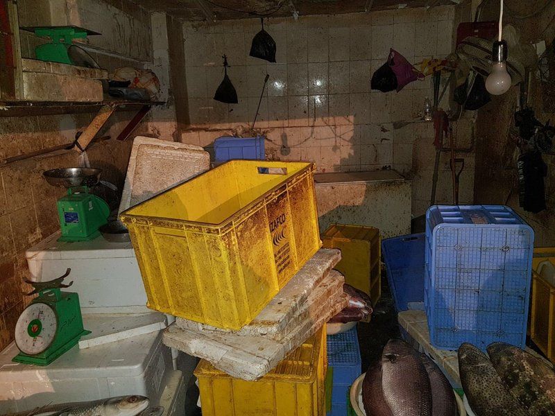 مصادرة 750 كيلو من الأسماك الفاسدة بسوق "نكاسة مكة"