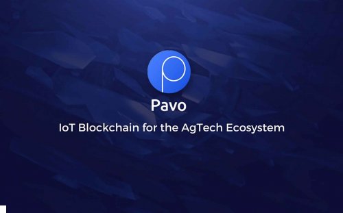 بافوكوين "Pavocoin"  ثورة في قطاع الزراعة باستخدام البلوكشين