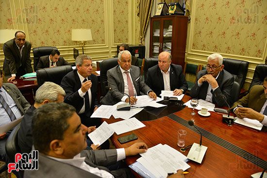 فرج عامر: استدعاء مسئول عن "المركزى للمحاسبات" بشأن تقرير ريو دى جانيرو - صور