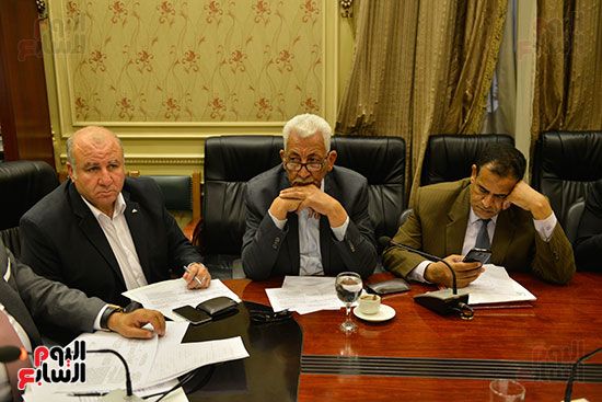 فرج عامر: استدعاء مسئول عن "المركزى للمحاسبات" بشأن تقرير ريو دى جانيرو - صور