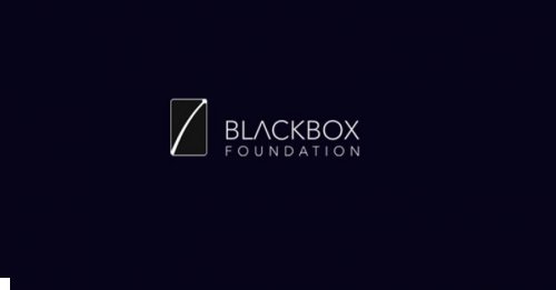بلاك بوكس "BlackBox" ثورة في عالم إدارة الشركات والمشاريع بتكنولوجيا البلوكشين