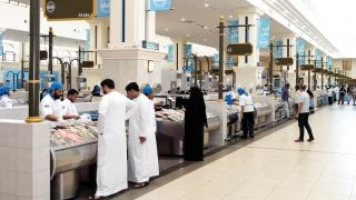 الامارات | 30 % انخفاضاً في أسعار الأسماك بالشارقة