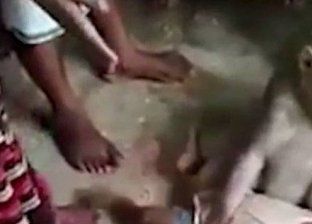 القصة الكاملة لتحرش سيدة بـ"قرد" في المنصورة
