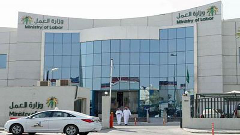 شركة نادك” السعودية تدرس نقل أصولها الزراعية للسودان