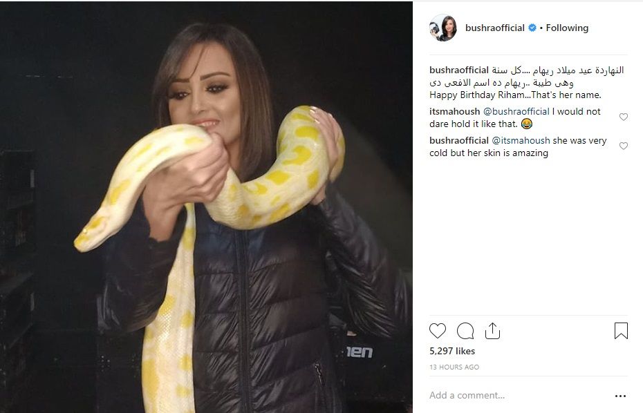 بشرى تحتفل بعيد ميلاد الأفعى ريهام.. فهل قصدت ريهام حجاج؟