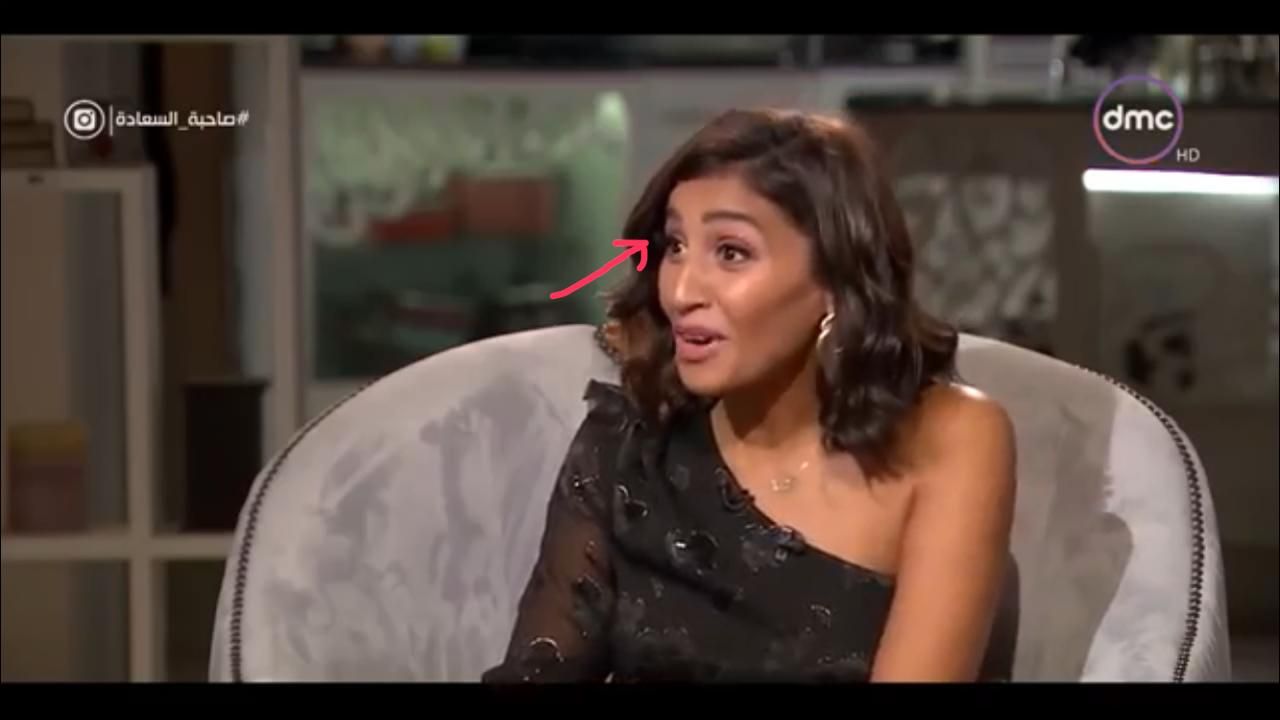 خبير لغة جسد: دينا الشربيني استعطفت الجمهور وشعرت أنها لا تستحق عمرو دياب!