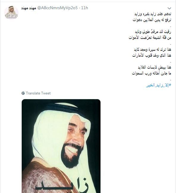 #إلا زايد.. عاصفة حب فى الوطن العربى تهز أذناب تنظيم الحمدين المتطاولين