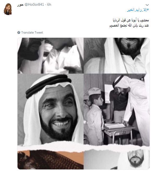 #إلا زايد.. عاصفة حب فى الوطن العربى تهز أذناب تنظيم الحمدين المتطاولين