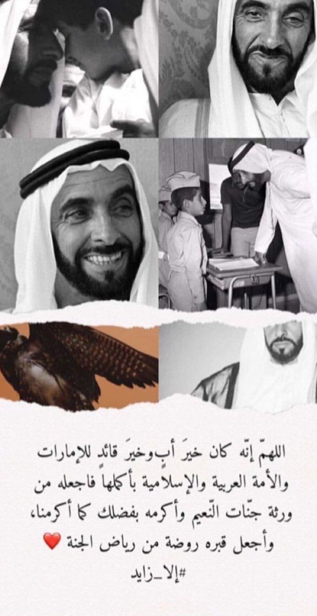 #إلا زايد.. عاصفة حب فى الوطن العربى تهز أذناب تنظيم الحمدين المتطاولين
