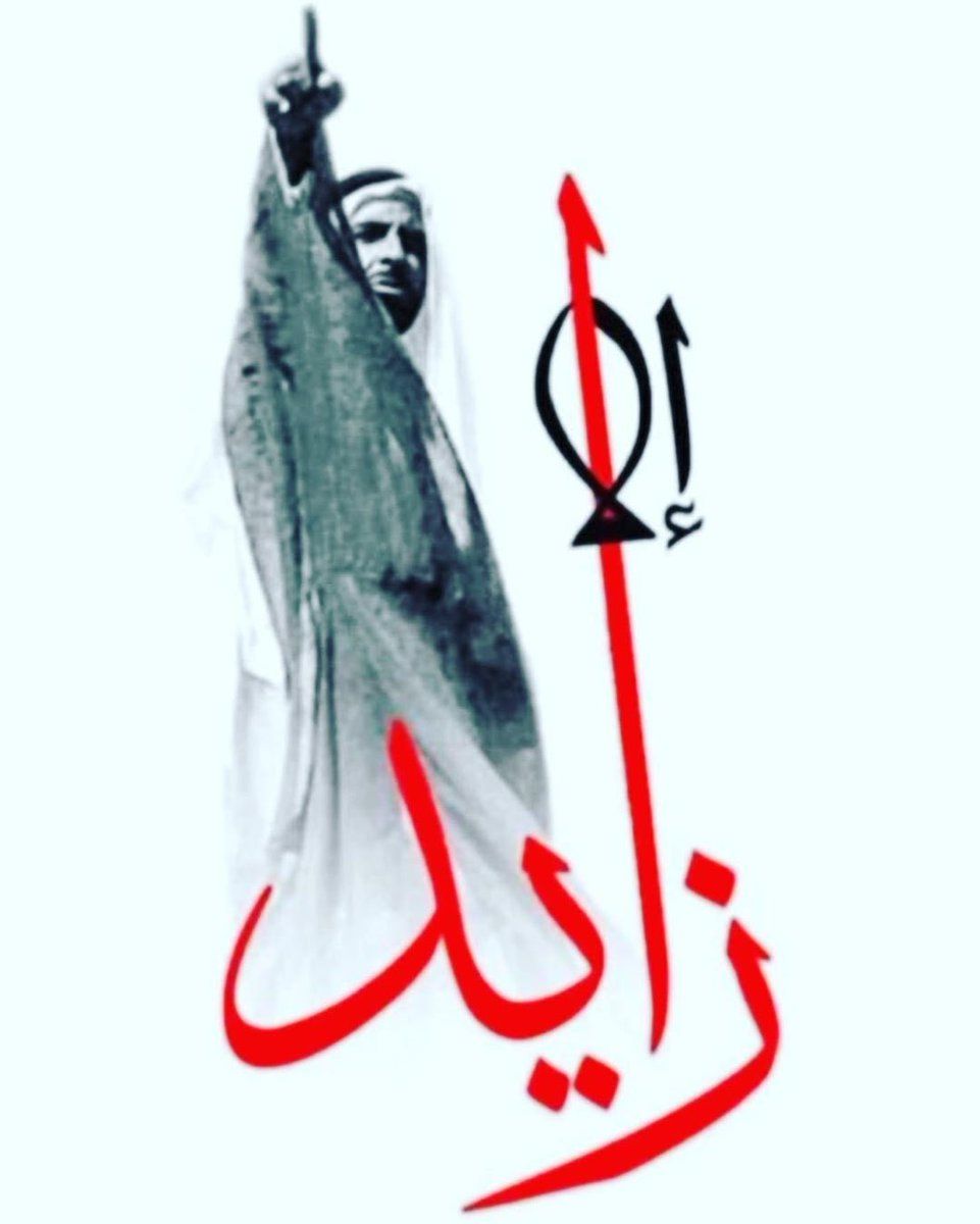 #إلا زايد.. عاصفة حب فى الوطن العربى تهز أذناب تنظيم الحمدين المتطاولين