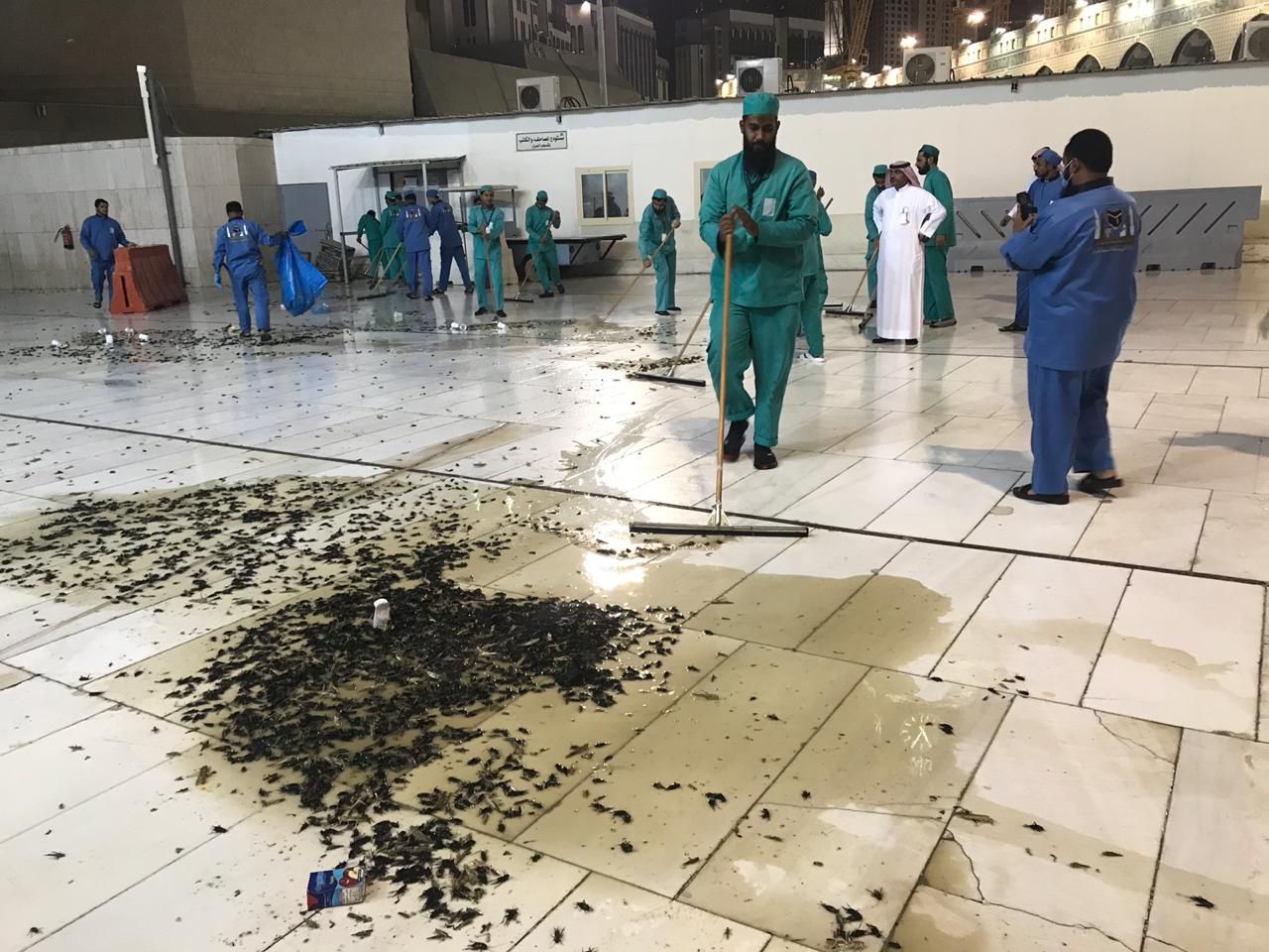 أمانة العاصمة المقدسة توضح ملابسات فيديو انتشار الحشرات في الساحات المحيطة بالحرم المكي
