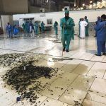 أمانة العاصمة المقدسة توضح ملابسات فيديو انتشار الحشرات في الساحات المحيطة بالحرم المكي