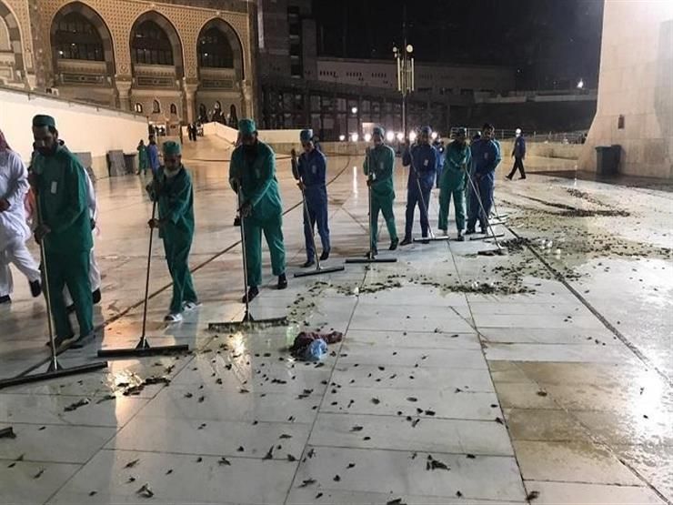 بعد اجتياحها السعودية.. كيف سيكون شكل الحياة إذا اختفت الصراصير عن عالمنا؟