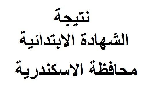 نتيجة الإبتدائية 2019 الترم الأول كافة المحافظات .. نتيجة الصف السادس الابتدائي بالإسكندرية برقم الجلوس