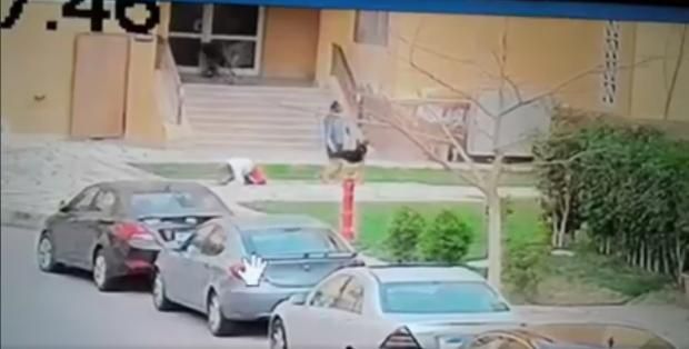 بالصور| خالة «طفل مدينتي» تروي تفاصيل واقعة مهاجمته من كلبين «شديدي الشراسة»