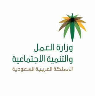 «عاجل» تنفرد بنشر 30 مهنة سيتم توطينها بقطاع الاتصالات وتقنية المعلومات
