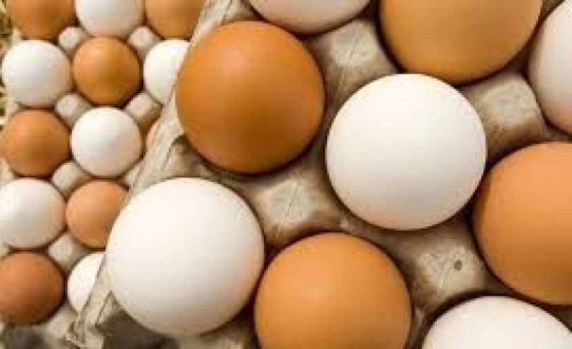 تراند اليوم : هذا ما قد يحدث حال تناولك أكثر من 3 بيضات أسبوعياً