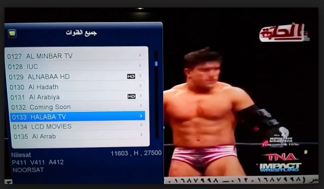“استقبال الآن” تردد قناة الحلبة 2019 Alhalaba الجديد على نايل سات أخر تحديث 2019