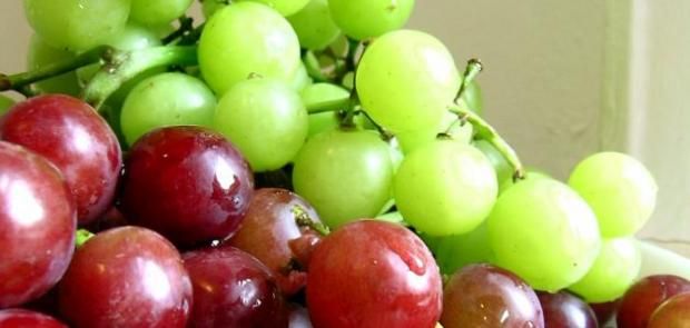علاج السرطان من الطبيعة بالتفاح والبصل