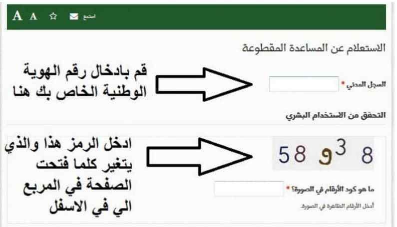 استعلام المساعدة المقطوعة رجب 1440 من خلال موقع وزارة العمل والتنمية الاجتماعية sd.mlsd.gov.sa
