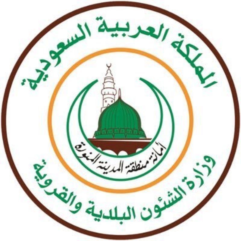 "أمانة المدينة" تكثف جهودها لمكافحة الجراد و"الجنادب السوداء"