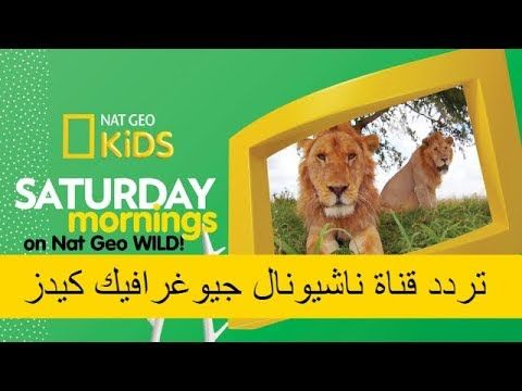 “استقبل” تردد قناة الأطفال ناشيونال جيوغرافيك كيدز أبو ظبي 2019 HD مباشر على النايل سات...
