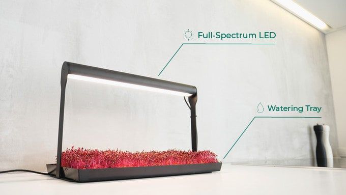 فيديو| “MicroFarm”يساعدك على زرع أطعمة طازجة وصحية وأرخص في منزلك