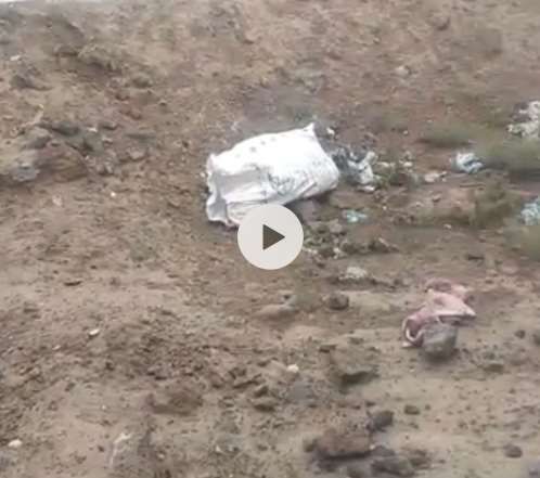 شاهد ماذا وجد أطفال يجمعون علب الماء الفارغة في أحد أحياء العاصمة صنعاء (فيديو)