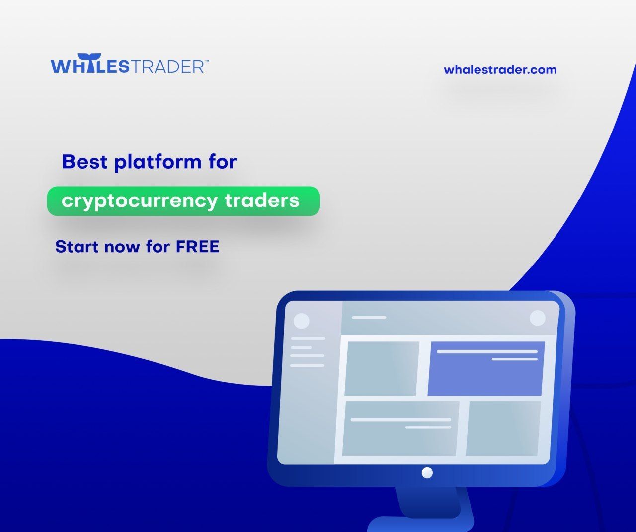 مقابلة Newsbtc : الرئيس التنفيذي لمنصة WhalesTrader أحمد شديد “Gray Spark” ومحادثات حول الحيتان