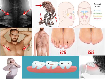 بالصور: 9 أجزاء ستختفي من أجسادنا في الأعوام المقبلة