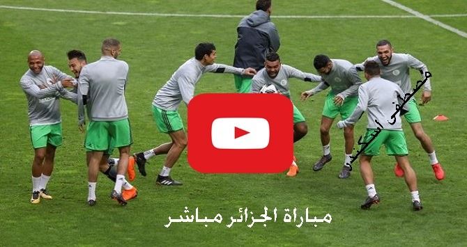 كورة لايف مشاهدة مباراة الجزائر وكينيا بث مباشر algeria live رابط يلا شوت الجزائر وكينيا اليوم بث...