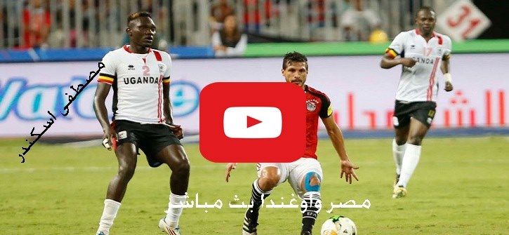 كورة لايف bein Max.. مشاهدة مباراة مصر واوغندا بث مباشر يلا شوت twitch shoot تابع اونلاين كورة ستار...