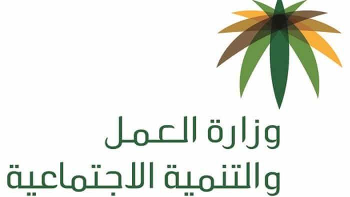 استعلام عن المساعدة المقطوعة برقم الطلب ورابط الاستعلام عن الرصيد الضماني mlsd.gov.sa